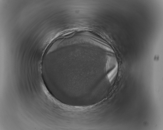 X0000111580002200908061336