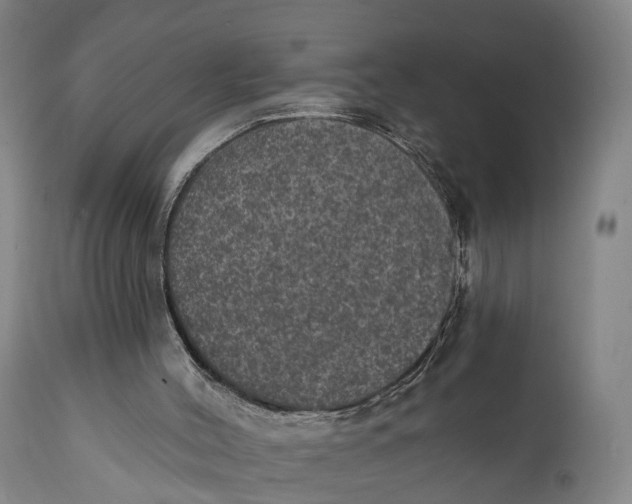 X0000111580004200908061336