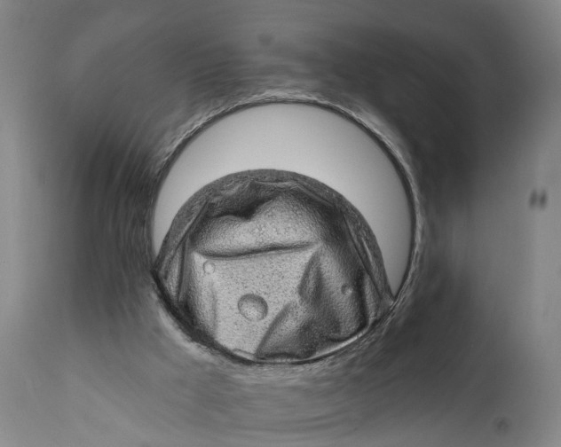 X0000111580009200908061336