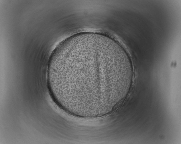 X0000111580011200908061336