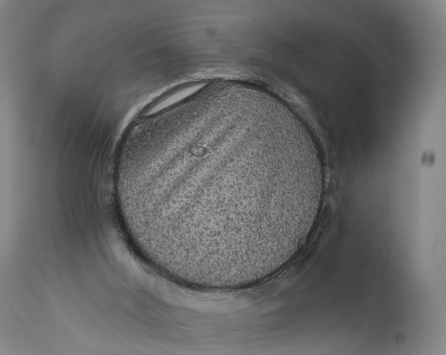 X0000111580012200908061336