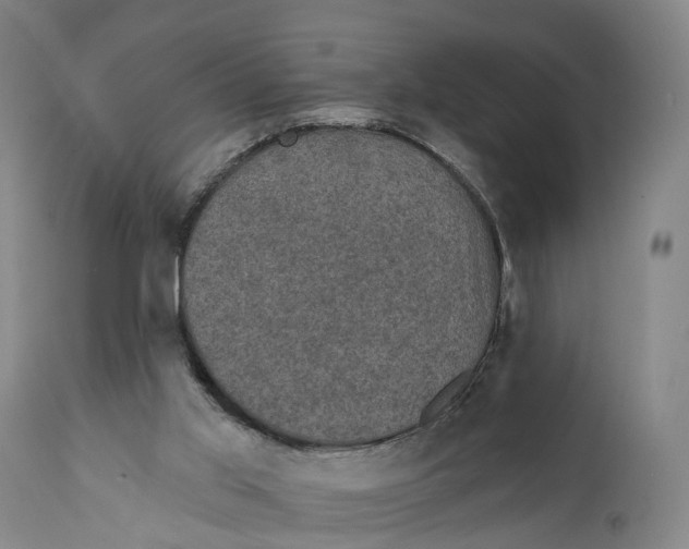 X0000111580013200908061336