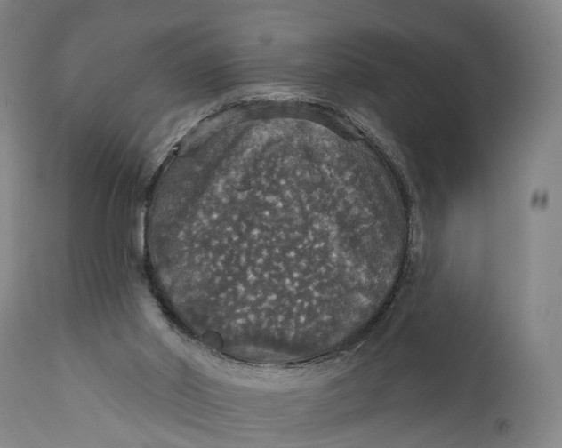 X0000111580014200908061336