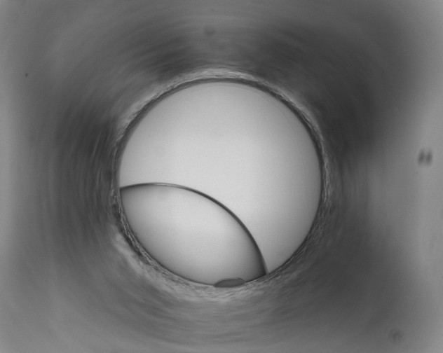 X0000111580015200908061336