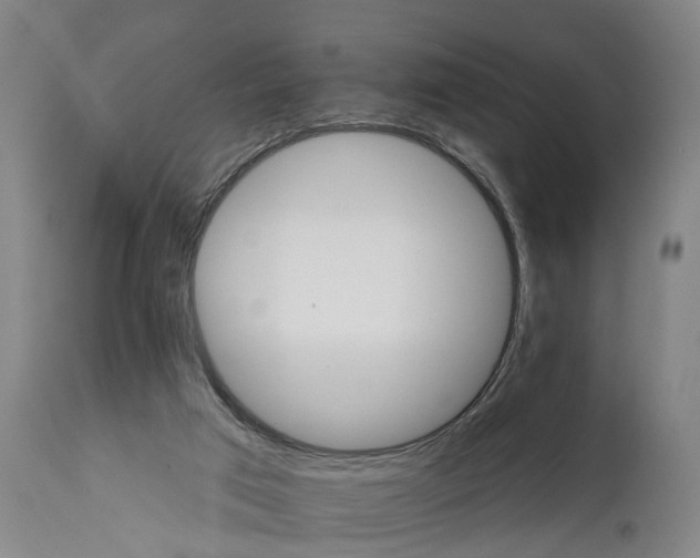 X0000111580017200908061336