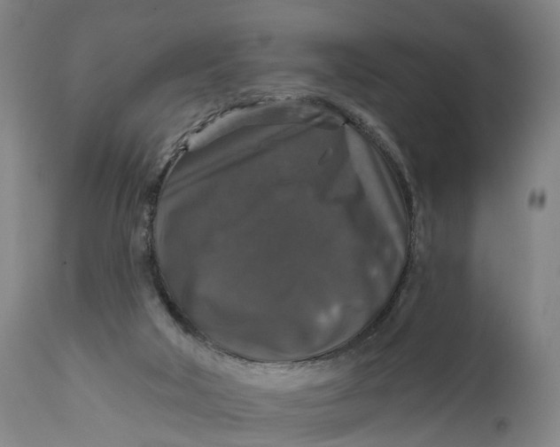 X0000111580018200908061336