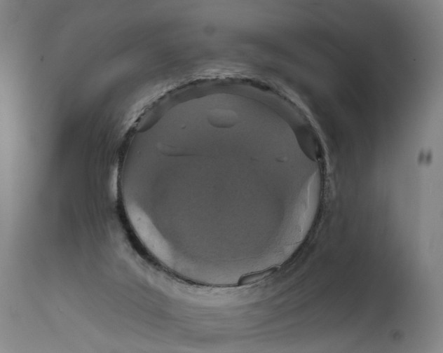 X0000111580019200908061336