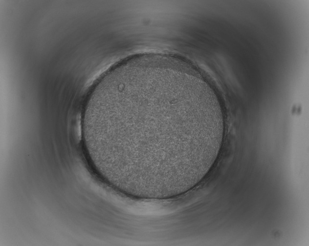 X0000111580020200908061336