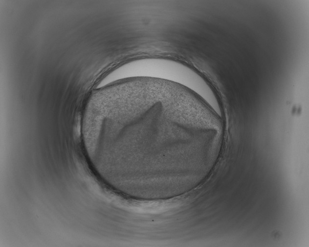 X0000111580021200908061336