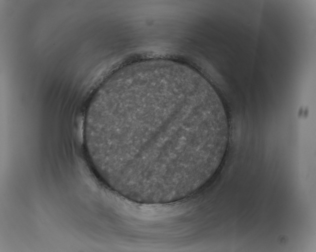 X0000111580022200908061336