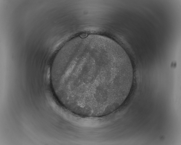 X0000111580024200908061336