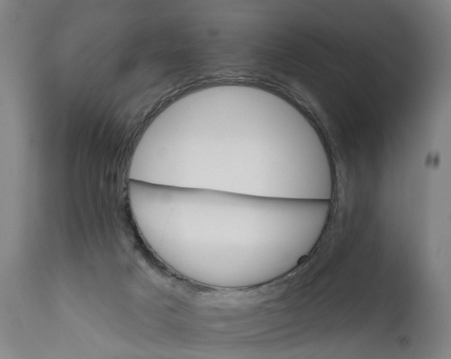 X0000111580025200908061336