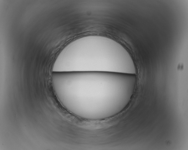 X0000111580029200908061336