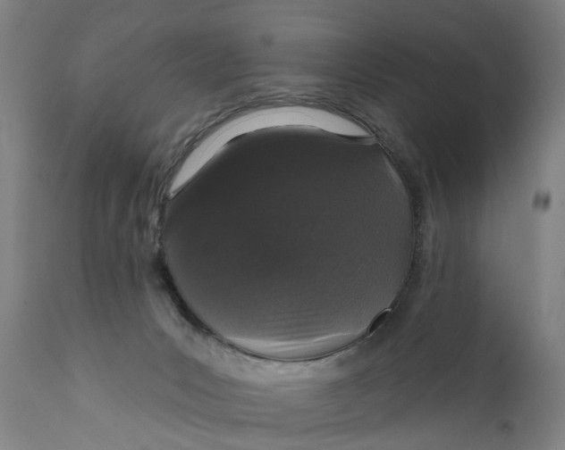 X0000111580031200908061336