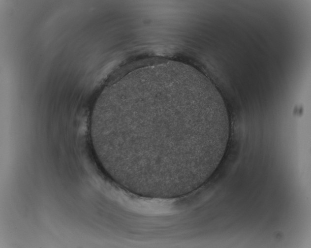 X0000111580032200908061336