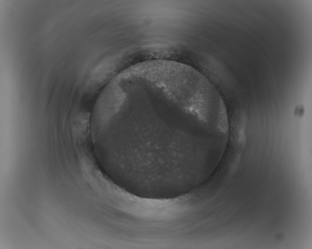 X0000111580034200908061336