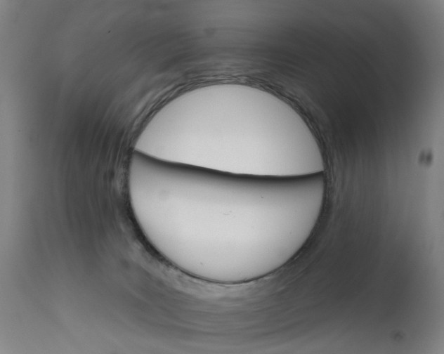 X0000111580035200908061336