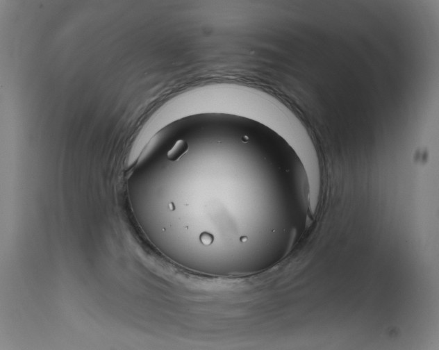 X0000111580036200908061335