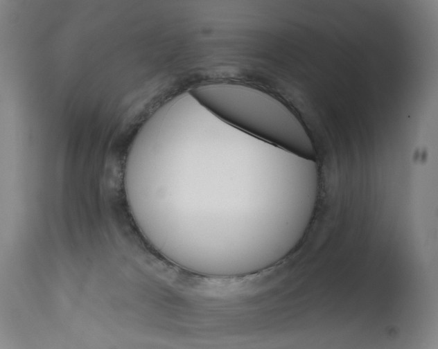 X0000111580037200908061335