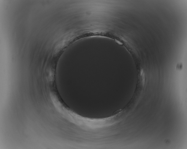 X0000111580039200908061335