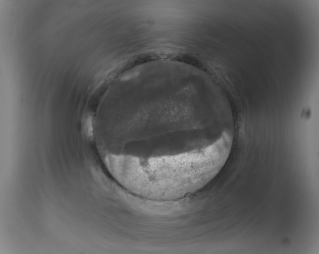 X0000111580042200908061335