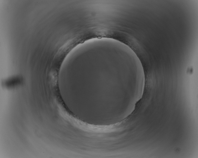 X0000111580043200908061335