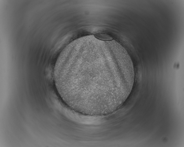 X0000111580044200908061335