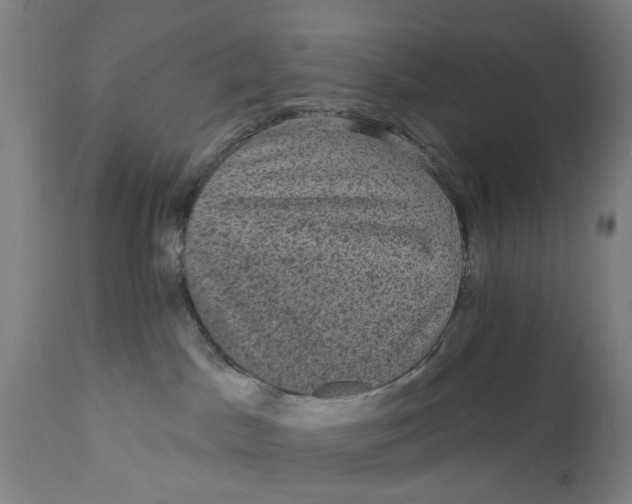 X0000111580045200908061335