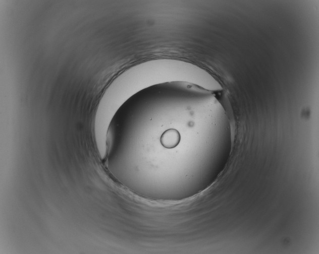 X0000111580047200908061335