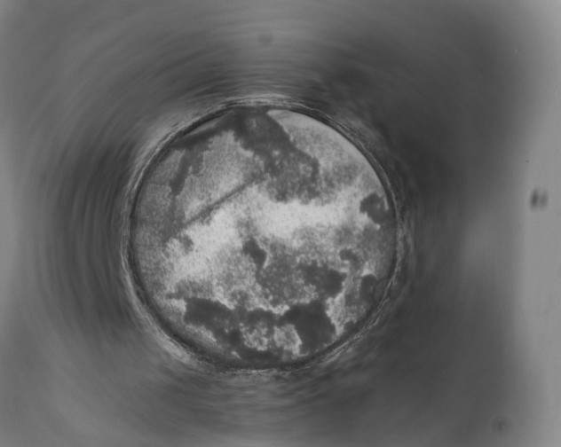 X0000111580049200908061334