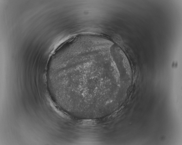 X0000111580050200908061335