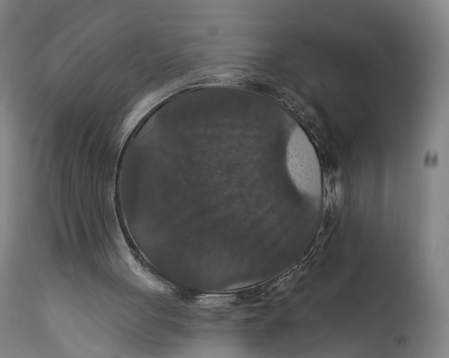 X0000111580051200908061335