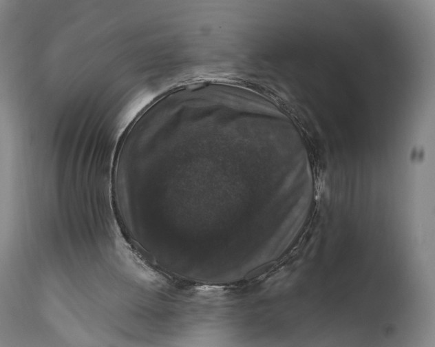 X0000111580052200908061335