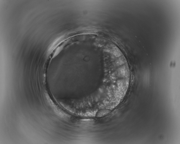 X0000111580053200908061335