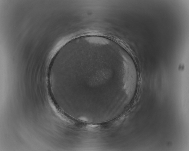 X0000111580055200908061335