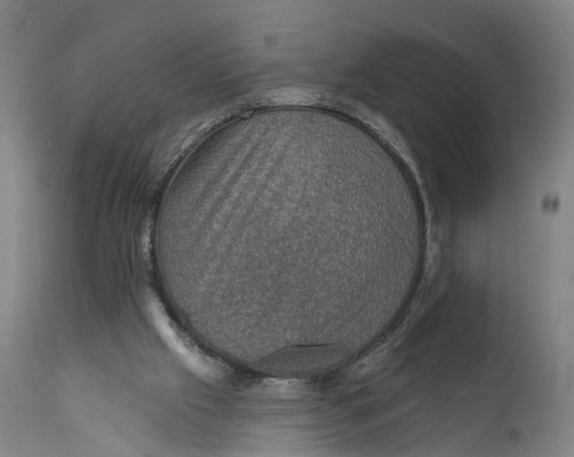 X0000111580057200908061335