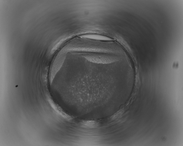 X0000111580058200908061335