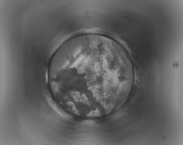 X0000111580061200908061335