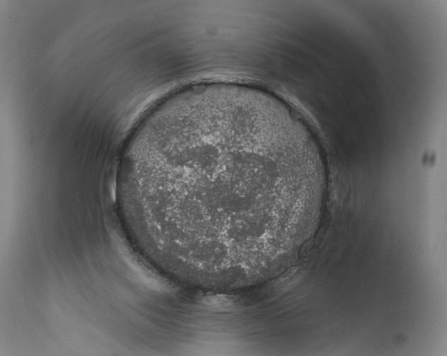 X0000111580062200908061335