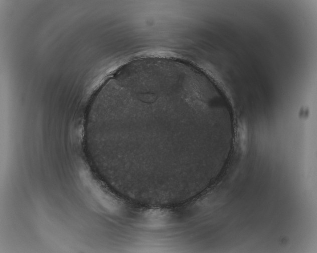 X0000111580063200908061335