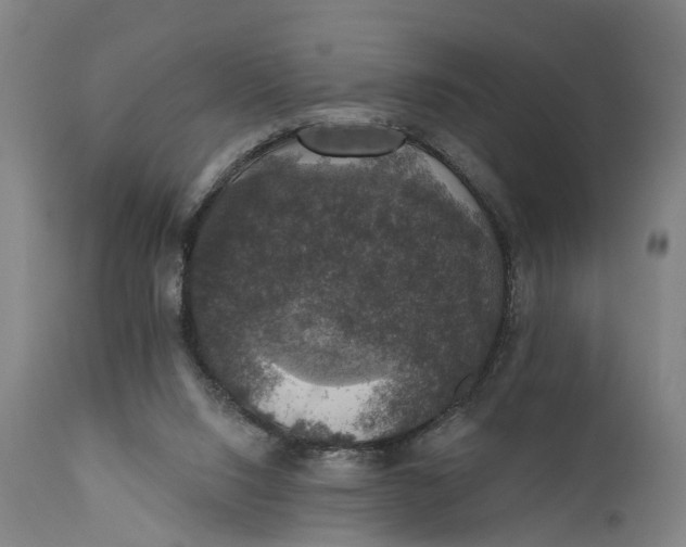 X0000111580064200908061335