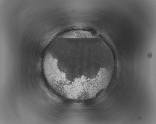 X0000111580066200908061335