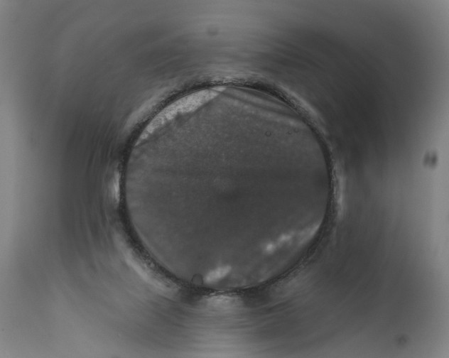 X0000111580067200908061335