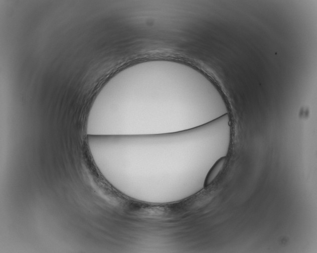 X0000111580069200908061335