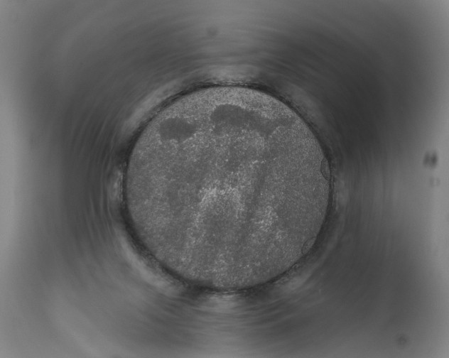 X0000111580071200908061335