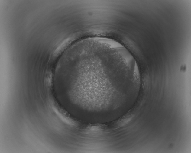 X0000111580072200908061335