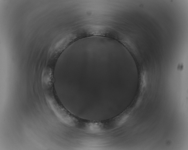 X0000111580073200908061335