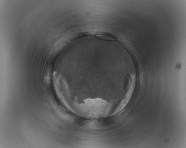 X0000111580074200908061335