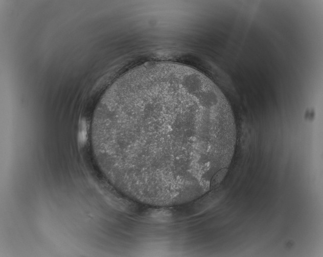 X0000111580075200908061335