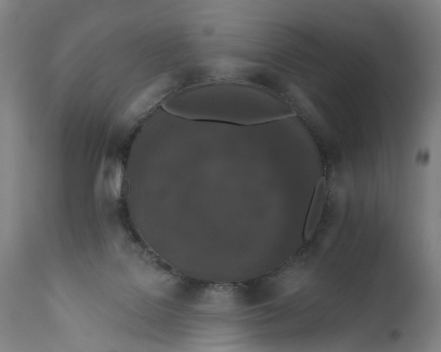 X0000111580076200908061335